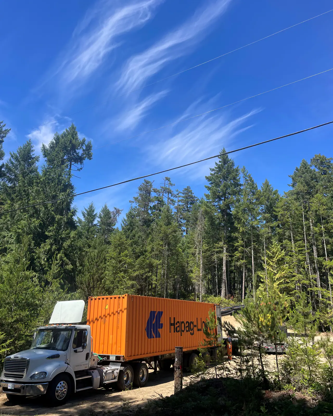 A white day-cab tractor with an orange shipping container on a sand track among tall firs, under a blue sky streaked with cirrus